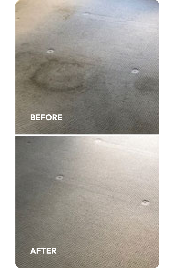 carpet cleaning gold coast
