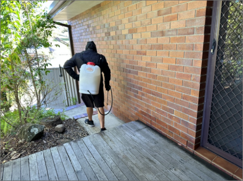 Licensed Pest Controller gold coast