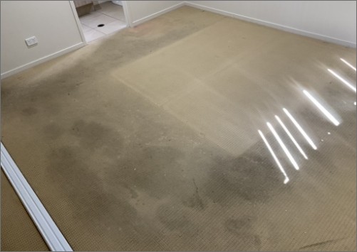 stain removal treatments