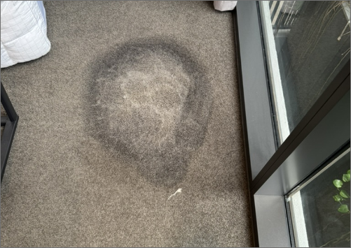 stain removal treatments