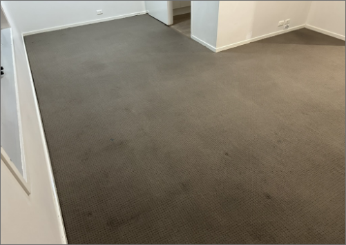 stain removal treatments